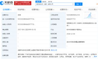 被优点科技、畅呼吸艰难求生 软件技术服务的转型阵痛与破局之道