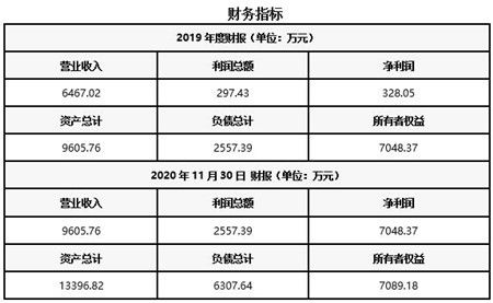 湖北光纤光栅产品技术服务公司转让项目020108软件技术服务业务分析